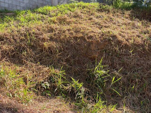 #1000 - Área para Venda em Cotia - SP - 2