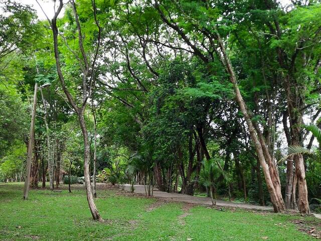 #1536 - Terreno em condomínio para Venda em Cotia - SP - 3